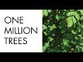 One Million Trees