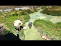 Crazy Crocodile Expert Takes One On A Ride ViralHog