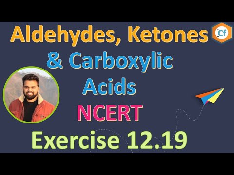12.19 Exercise, Aldehydes, Ketones and Carboxylic Acids, Class 12, Chapter 12, ChemFundamentals