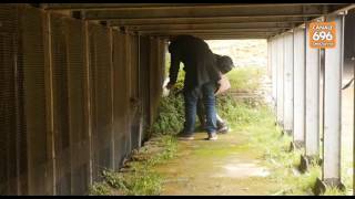 al-teatro-romano-i-tecnici-della-soprintendenza