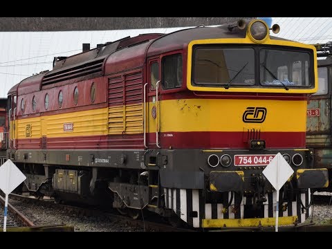 Krasavec na R 1247 | České Budějovice 24.4.2018