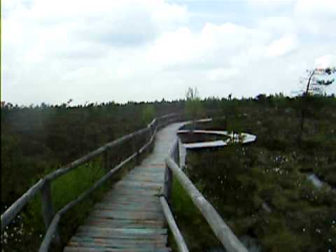 am schwarzen moor in fladungen an der rhön