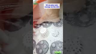 Video Bồn ngâm chân massage trị liệu Nikio NK-195 New giải pháp xoa bóp lưu thông khí huyết, giảm stress, cải thiện giấc ngủ