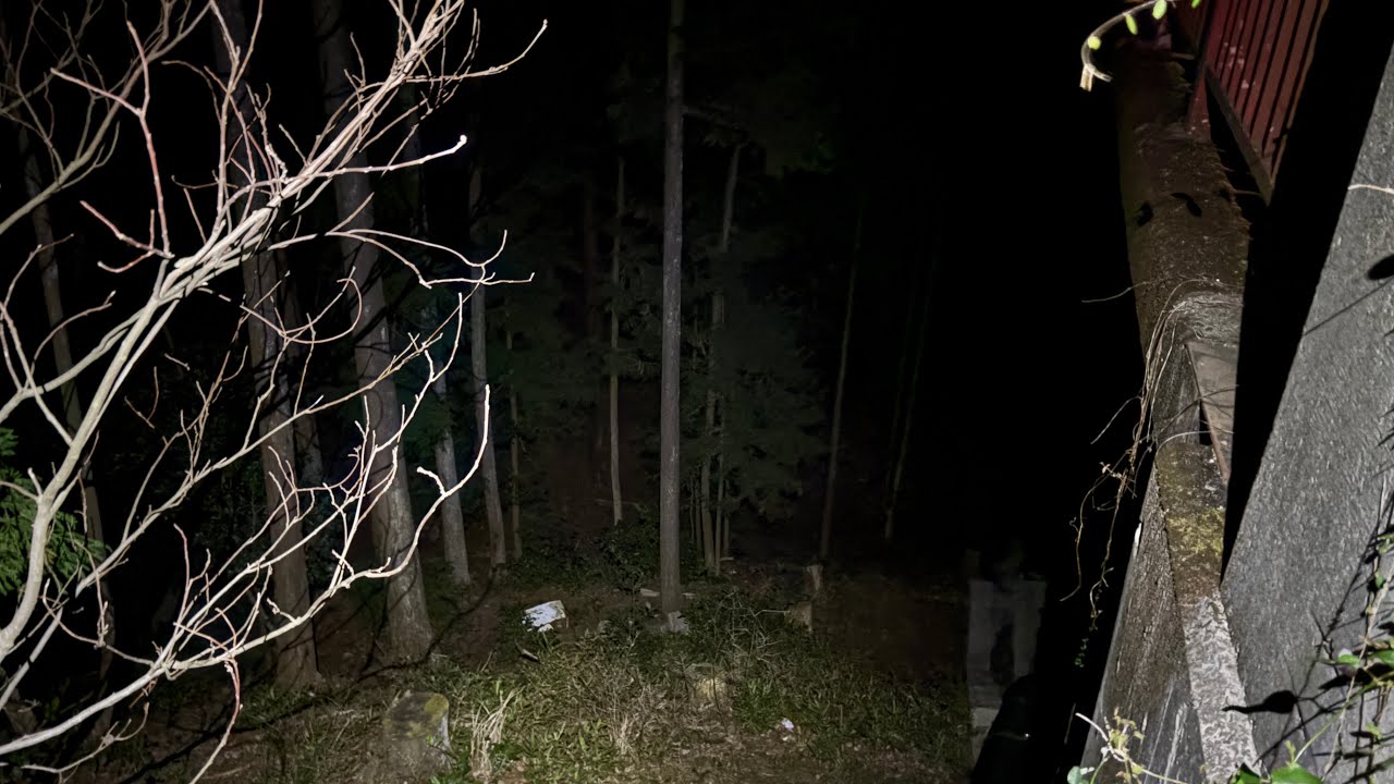 白山大橋➕雑談　ライブ配信