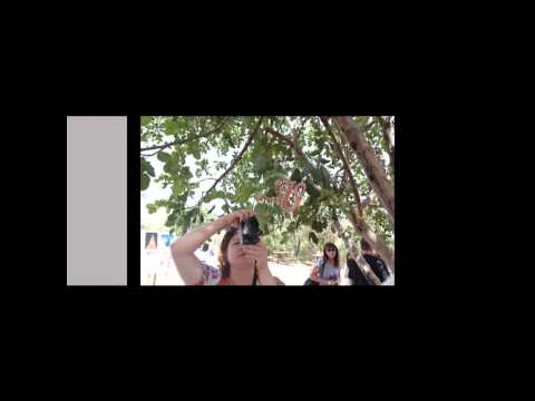 סדנאות צילום בסטודיו ובטבע לימי גיבוש וכיף לחברות, ארגונים וקבוצות