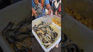 Download lagu business idea 2025 catfish 4000 already seasoned selling pol mp3