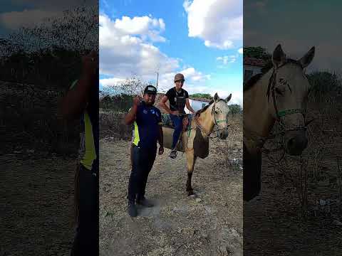 logo logo a Entrevista com a vaqueira Duda de Tacaimbó-PE #playvaquejada #nordeste #vaqueira