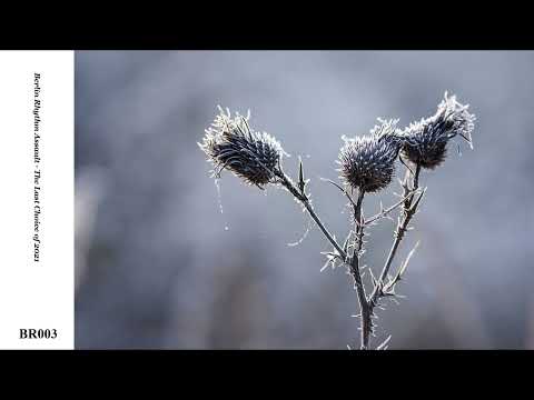 Berlin Rhythm Assault - The Last Choice of 2021 (Original Mix) [BRA003]