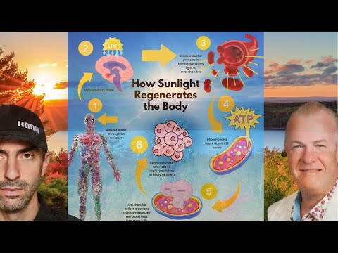 Sunlight is King! w/ Dr. Jack Kruse