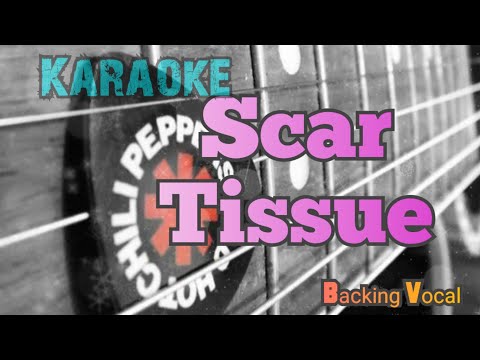 Scar Tissue Karaoke Version, Original Key,Backing Vocal, Red Hot Chili Peppers