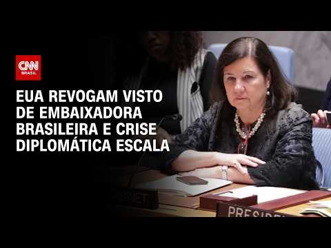Crise entre Brasil e EUA escala; entenda desdobramentos de revogação de visto de embaixadora