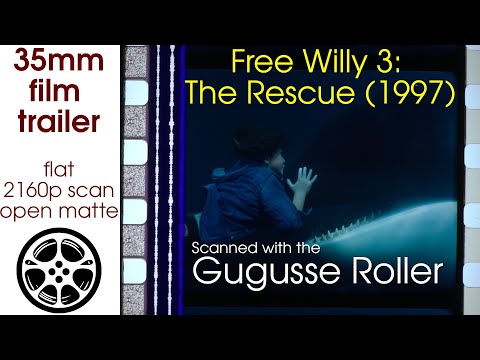 Free Willy 3: The Rescue