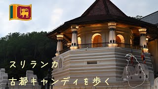 【観光地紹介】スリランカの古都・キャンディをめぐる6分旅|仏歯寺・マーケット・伝統舞踊|Sri Lanka Kandy Travel Vlog
