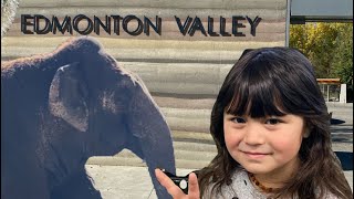 Edmonton Valley Zoo/エドモントンの動物園/バリーズー/ルーシーザエレファント