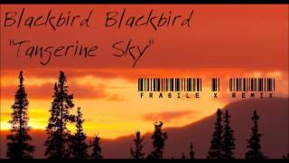 Blackbird Blackbird - Tangerine Sky (Fragile X remix)