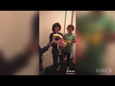 Stranger things Characters meet Doug the pug
