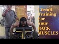 Circuit Training For Your Back Muscles