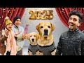 Happy New Year 2025 Leo Reo First Time In Snow Anant Rastogi