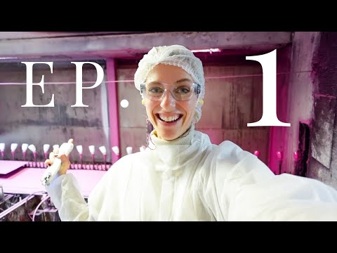 Part of a video titled HOW PERFUME IS MADE | Episode 1: Glass bottle manufacturing process