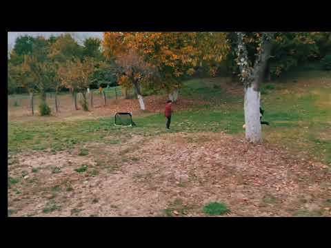 Activitati sportive la Casa Cartianu