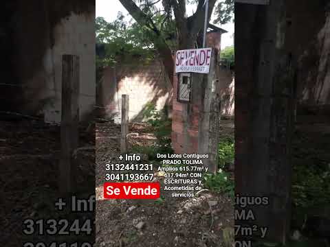 Venta Dos Lotes Contiguos PRADO TOLIMA Amplios 615.77m² y 617.94m² CON ESCRITURA-Acometidasservicios