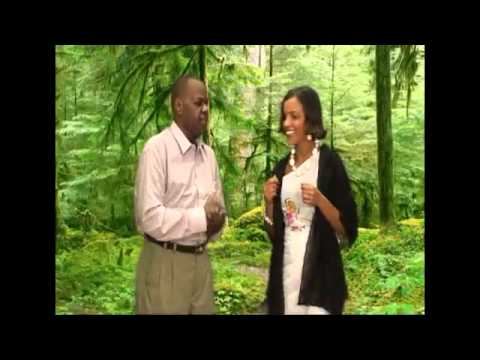 New Nimco Dareen And Qoomaal Songs   2010