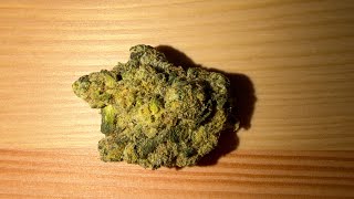 Gush Cake 26.90% Roll One | Trulieve Palm Harbor 