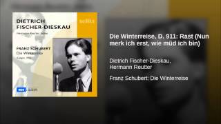 Die Winterreise, D. 911: Rast (Nun merk ich erst, wie müd ich bin)