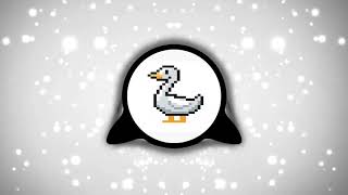 Cover art for Duck PHONK