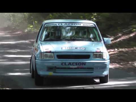 Star Rally Historic 2015 | H20 | Massimo Visani - Giuseppe Billi