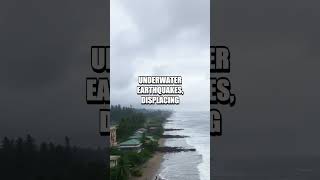 Decoding Natural Disasters: Understanding and Mitigating Risks