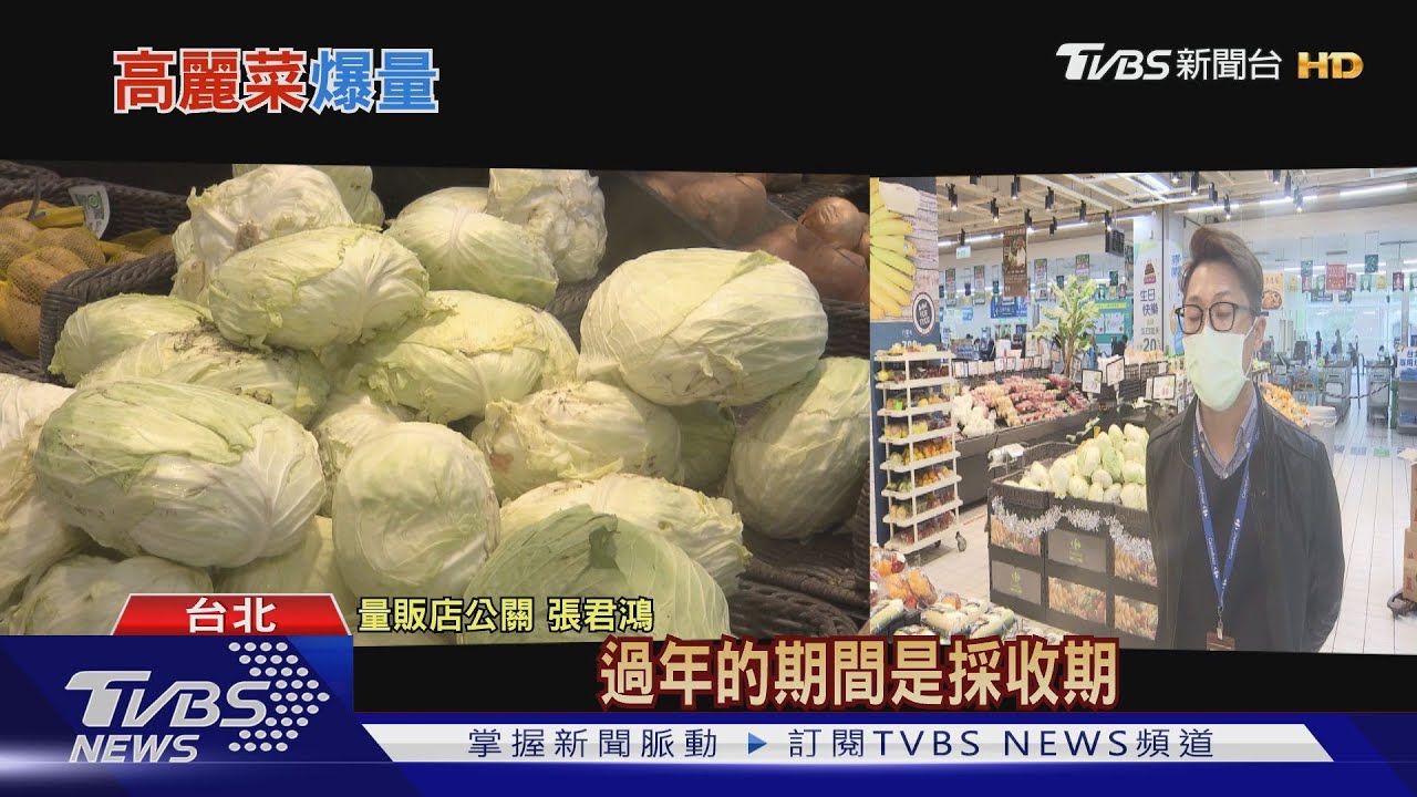 別再種了!高麗菜供苗量達紫色燈號 爆量恐影響菜價
