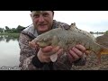 Фото БЕШЕНЫЙ КЛЁВ САЗАНА НА ЗАКИДУШКИ. РЫБАЛКА В ДОЖДЬ. Ловля сазана и карася на жмых (макуху)