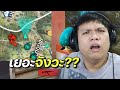 เปลี่ยนชื่อ ฟี ฟาย เท่ๆ