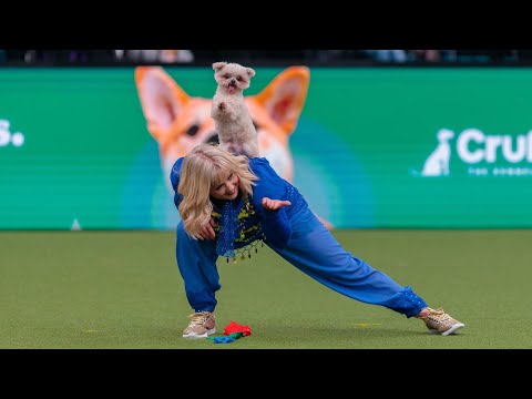 Lucy and Trip Hazard Crufts Freestyle Winners 2025