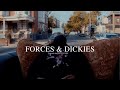 Lihtz Forces And Dickies Visualizer