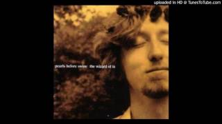 Tom Rapp - Translucent Carriages - Original 1966 Demo