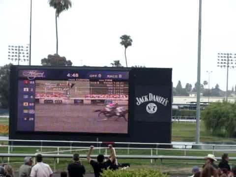 Zenyatta wins the 2010 Vanity Handicap!