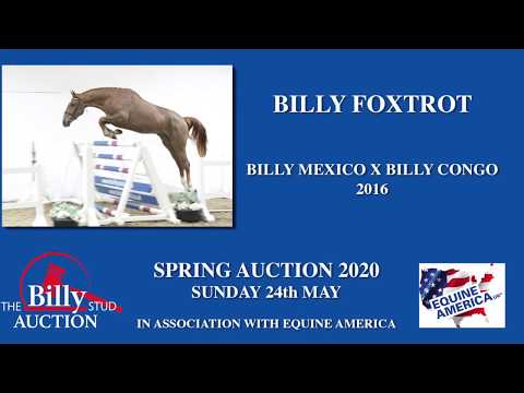 Billy Foxtrot