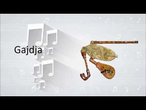 Instrumentet muzikore