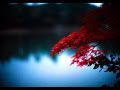 How my heart behaves, Feist