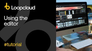 Video thumbnail for Using the Editor - Loopcloud 6 by Loopcloud
