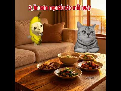 Hãy trân trọng từng phút giây  #meme #pet #cats