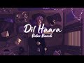 Dil Haara Slowed Reverb Relax Reverb