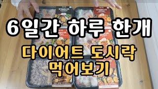 6일동안 하루 1개 다이어트 도시락을 먹으면 나타나는 몸의 변화