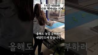 1시간에 나무 4500주 만드는 1억 2천 네덜란드 삽목기계
