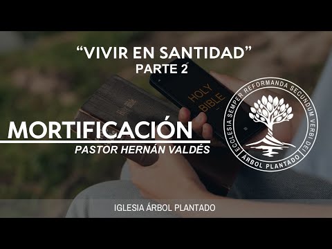 371 - Vivir en santidad - Mortificación - Parte 2