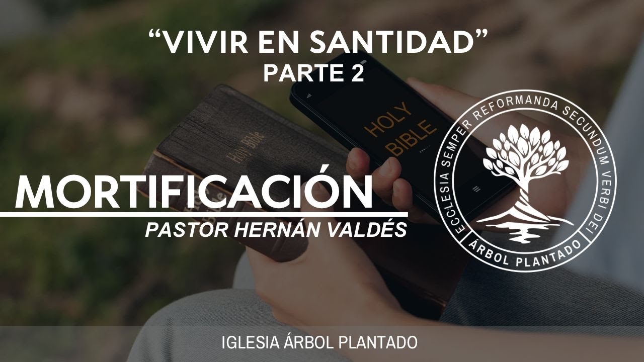 371 - Vivir en santidad - Mortificación - Parte 2