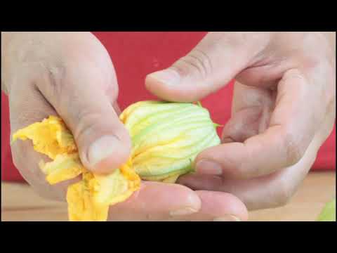 FIORI DI ZUCCA RIPIENI fiori di zucca fritti in pastella ricetta fiori di zucca
