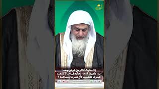 كيفية ترتيب الصلوات الفائتة ؟ وما حكم إمرآة كشفت شعرها للطبيب لتساقط شعرها ؟  فتاوى #الرحمة #مصر